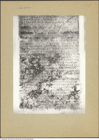 Vorderseite von bh186254_recto