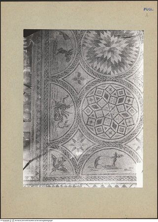 Vorderseite von bh186265_recto