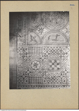 Vorderseite von bh186266_recto