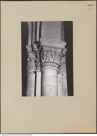 Vorderseite von bh186330_recto