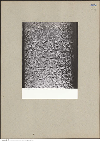 Vorderseite von ICCD [https://www.deutsche-digitale-bibliothek.de/content/lizenzen/rv-ez/] Römischer Meilenstein mit Inschrift zu Kaiser Constatin - Detail, bh186355_recto. Foto.