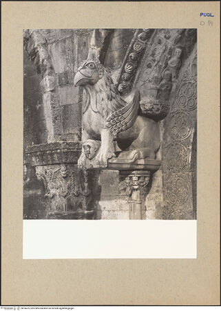 Vorderseite von bh186419_recto