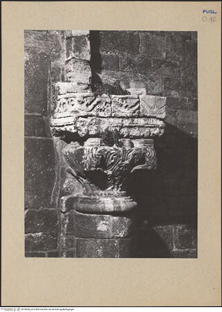 Vorderseite von bh186436_recto