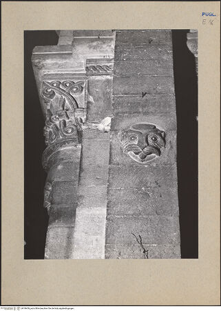 Vorderseite von bh186456_recto