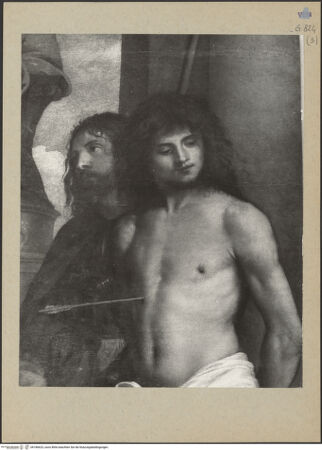 Vorderseite von bh186623_recto