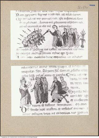 Vorderseite von bh186696_bh186697_recto