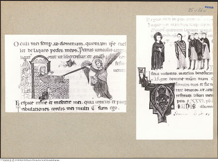 Vorderseite von bh186698_bh186699_recto