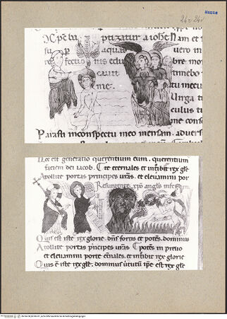 Vorderseite von bh186700_bh186701_recto