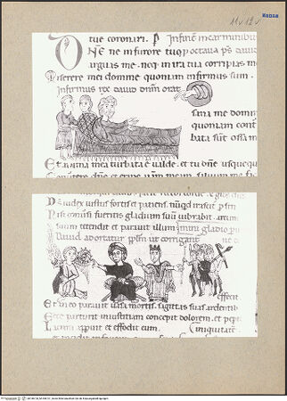 Vorderseite von bh186720_bh186721_recto