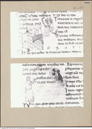 Vorderseite von bh186756_bh186757_recto