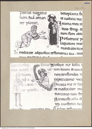 Vorderseite von bh186760_bh186761_recto