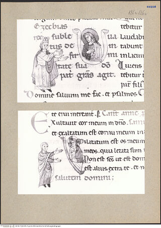 Vorderseite von bh186773_bh186774_recto