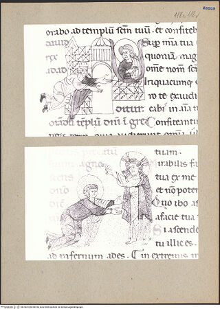 Vorderseite von bh186785_bh186786_recto