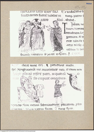 Vorderseite von bh186795_bh186796_recto