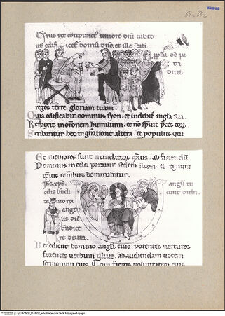 Vorderseite von bh186821_bh186822_recto