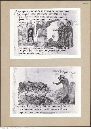 Vorderseite von bh186892_bh186893_recto