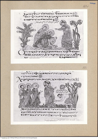 Vorderseite von bh186904_bh186905_recto