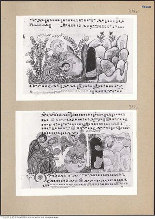 Vorderseite von bh186906_bh186907_recto