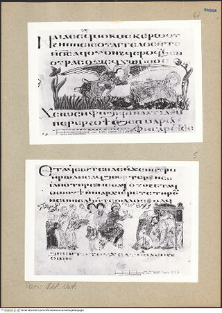 Vorderseite von bh186914_bh186915_recto