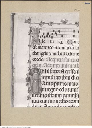 Vorderseite von bh186917_recto