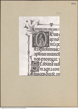 Vorderseite von bh186919_recto