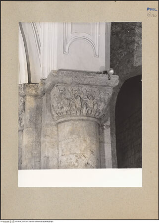 Vorderseite von bh186956_recto