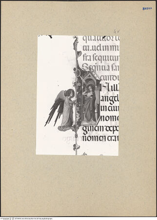 Vorderseite von bh186965_recto