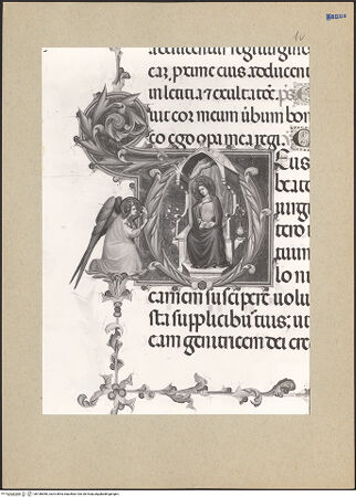 Vorderseite von bh186966_recto