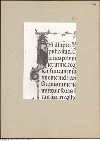 Vorderseite von bh186970_recto