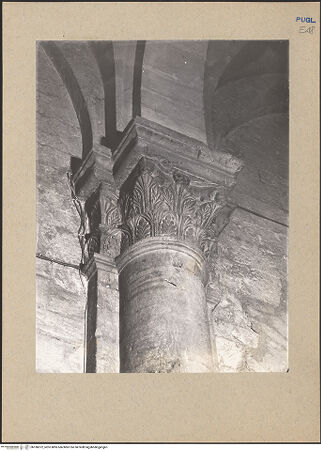 Vorderseite von bh186972_recto