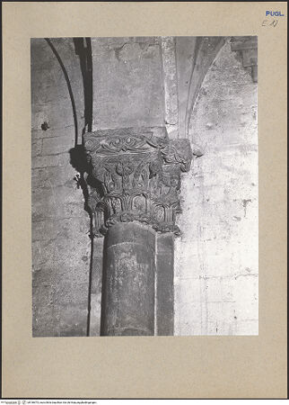 Vorderseite von bh186973_recto