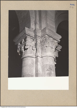 Vorderseite von bh186981_recto