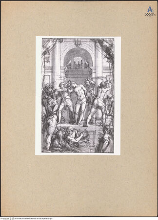 Vorderseite von bh187088_recto