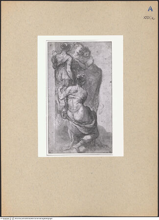 Vorderseite von bh187093_recto