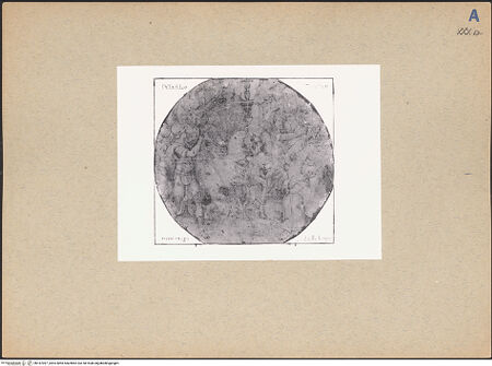 Vorderseite von bh187097_recto