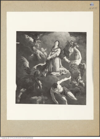 Vorderseite von bh187166_recto