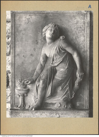 Vorderseite von bh187169_recto