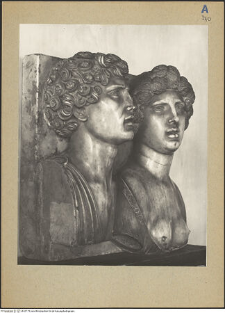 Vorderseite von bh187175_recto