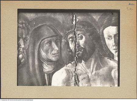 Vorderseite von bh187245_recto