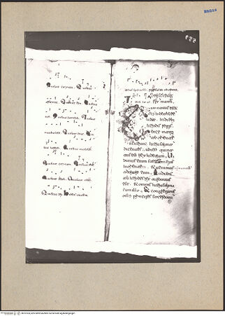 Vorderseite von bh187303_recto