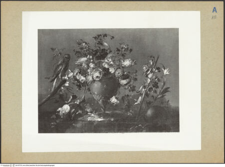 Vorderseite von bh187570_recto