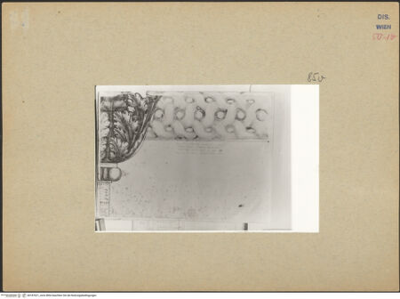 Vorderseite von bh187621_recto