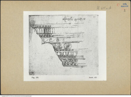 Vorderseite von bh187694_recto