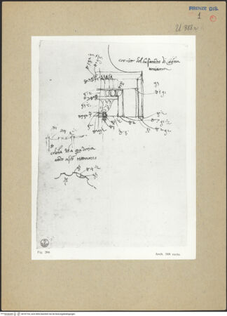 Vorderseite von bh187703_recto