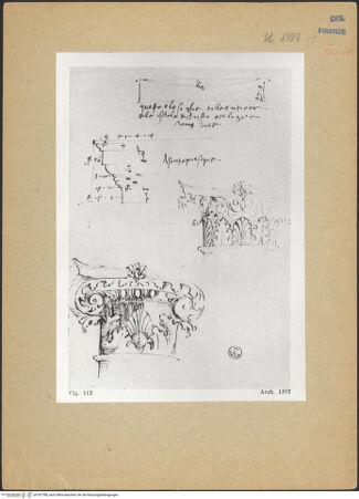 Vorderseite von bh187788_recto