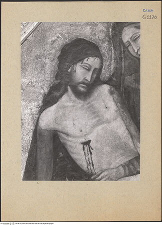 Vorderseite von ICCD [https://www.deutsche-digitale-bibliothek.de/content/lizenzen/rv-ez/] Mehrteiliges Altarbild mit der Pietà - Vesperbild: Christus, bh188130_recto. Foto.