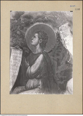 Vorderseite von ICCD [https://www.deutsche-digitale-bibliothek.de/content/lizenzen/rv-ez/] Die Wurzel JesseZweige des Salomon - Detail, bh188159_recto. Foto.