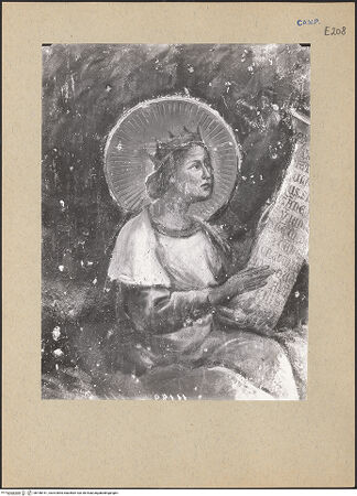 Vorderseite von ICCD [https://www.deutsche-digitale-bibliothek.de/content/lizenzen/rv-ez/] Die Wurzel JesseZweige des Salomon - Detail, bh188161_recto. Foto.