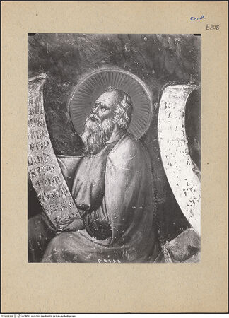 Vorderseite von ICCD [https://www.deutsche-digitale-bibliothek.de/content/lizenzen/rv-ez/] Die Wurzel JesseZweige des Salomon - Detail, bh188162_recto. Foto.