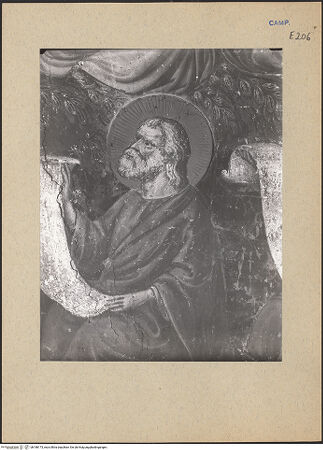 Vorderseite von ICCD [https://www.deutsche-digitale-bibliothek.de/content/lizenzen/rv-ez/] Die Wurzel JesseZweige des David - Detail, bh188173_recto. Foto.